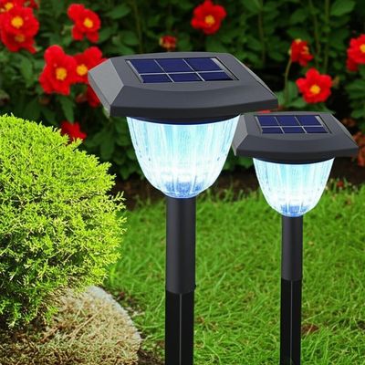 Un buon prezzo. Eleganti lampade per giardini solari durata della batteria 8-10 ore per giardini belli e funzionali in linea