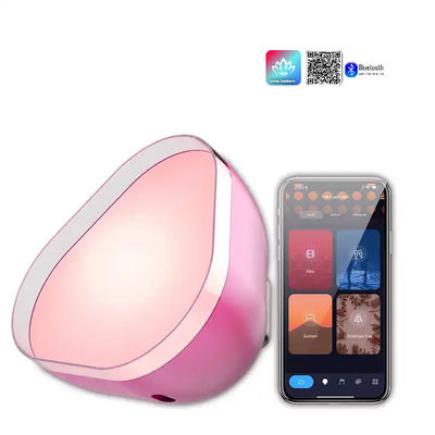 USB di ricarica Atmosfera luci a LED RGBIC Bluetooth personalizzato