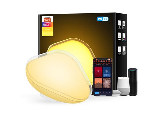 Buon prezzo FCC Desktop Atmosphere Light 10W Luminosità regolabile Portatile in linea